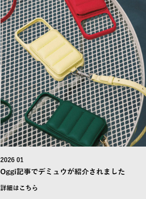 DEMIU-02-28-2026_02_39_PM (2)