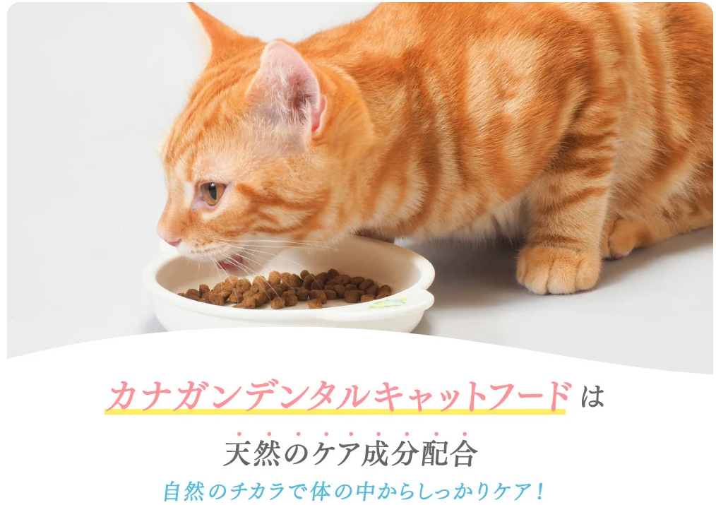 カナガンデンタル｜プロデン配合の特別なキャットフード-02-24-2026_02_47_PM