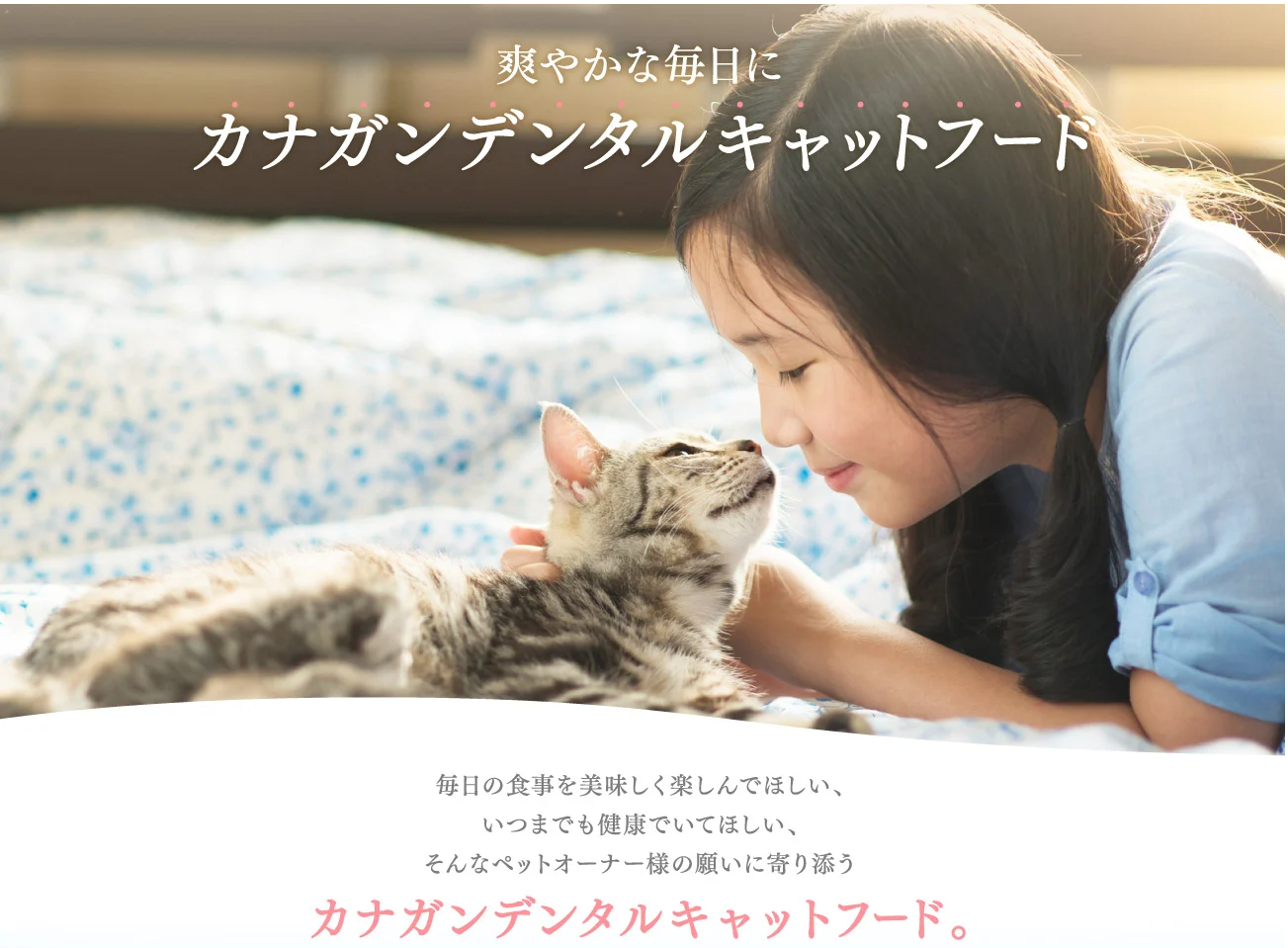 カナガンデンタル｜プロデン配合の特別なキャットフード-02-24-2026_02_49_PM