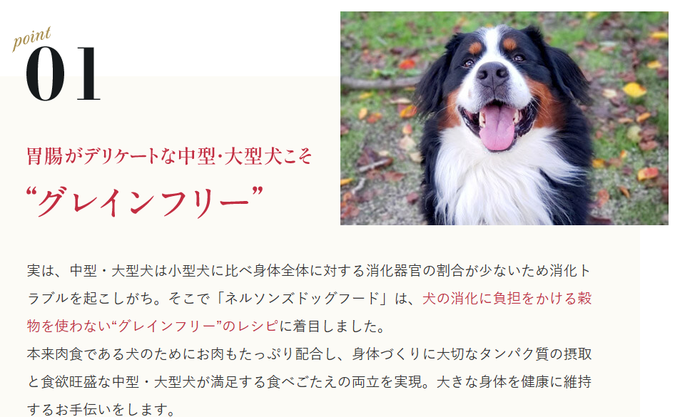 ネルソンズ｜中型-大型犬におすすめのグレインフリードッグフード-02-24-2026_01_31_PM