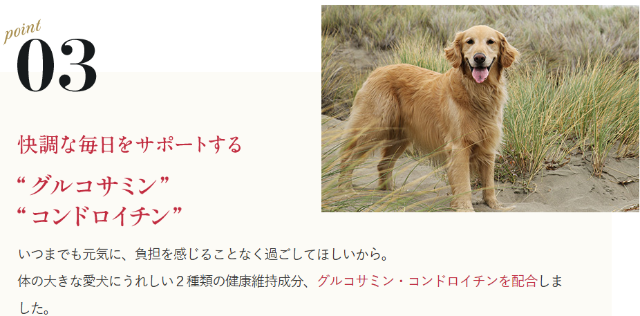 ネルソンズ｜中型-大型犬におすすめのグレインフリードッグフード-02-24-2026_01_32_PM