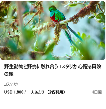 Oooh-パックツアーに頼らない、私らしい自由な海外旅行-03-01-2026_01_22_PM (1)